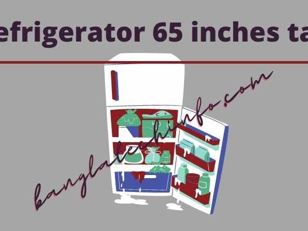 Refrigerator 65 inches tall