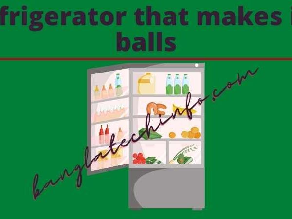 Refrigerator that makes ice balls