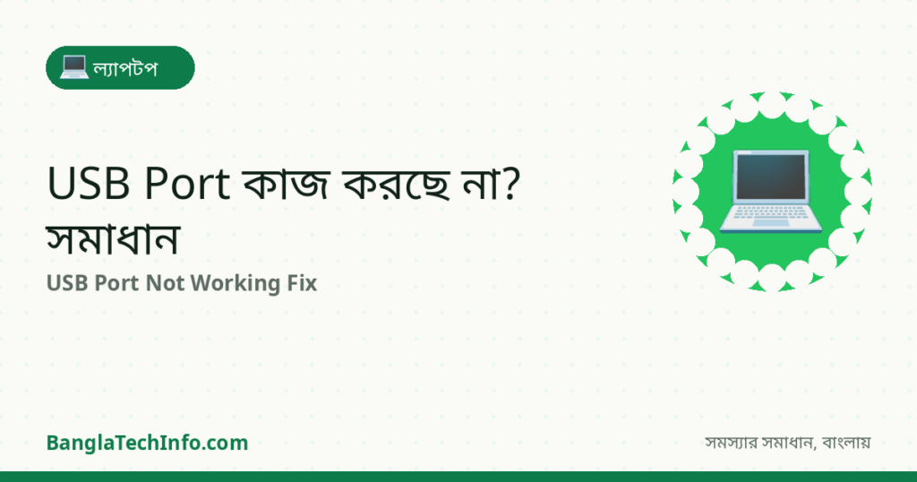 USB Port কাজ করছে না? Pen Drive চিনছে না — সমাধান - ল্যাপটপ সমাধান | BanglaTechInfo